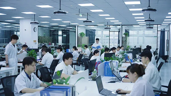 Company Profile